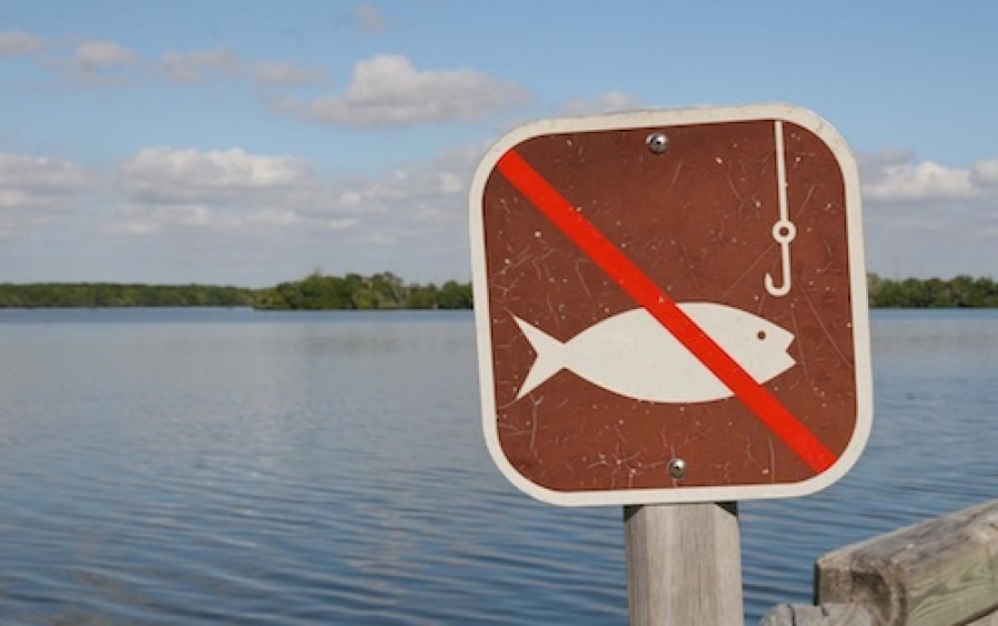 Нерестовий період: де на Волині заборонять рибалити