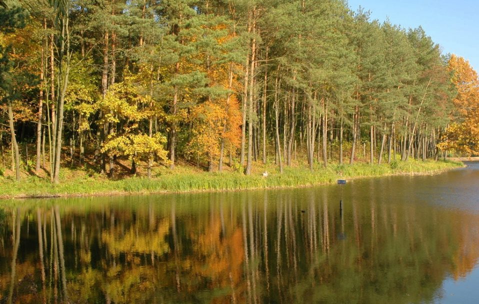 На Волині 16-річна дівчина підчепила небезпечну хворобу після купання в озері