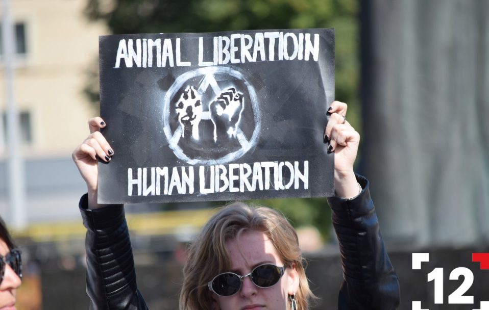 Марш за права тварин: Луцьк долучився до масштабної акції. ФОТО