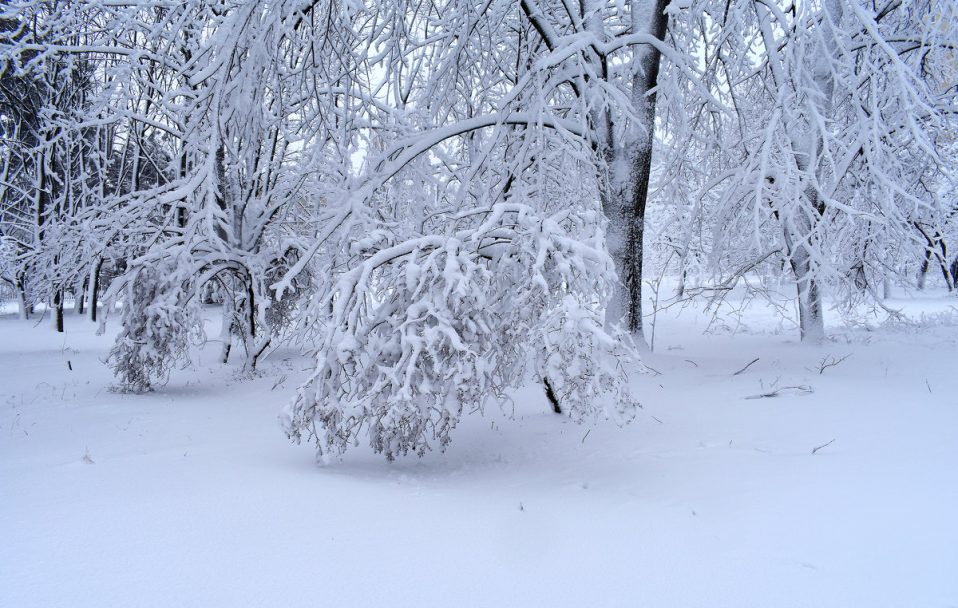 Сніговий армагеддон в Україні: коли чекати і як готуватися