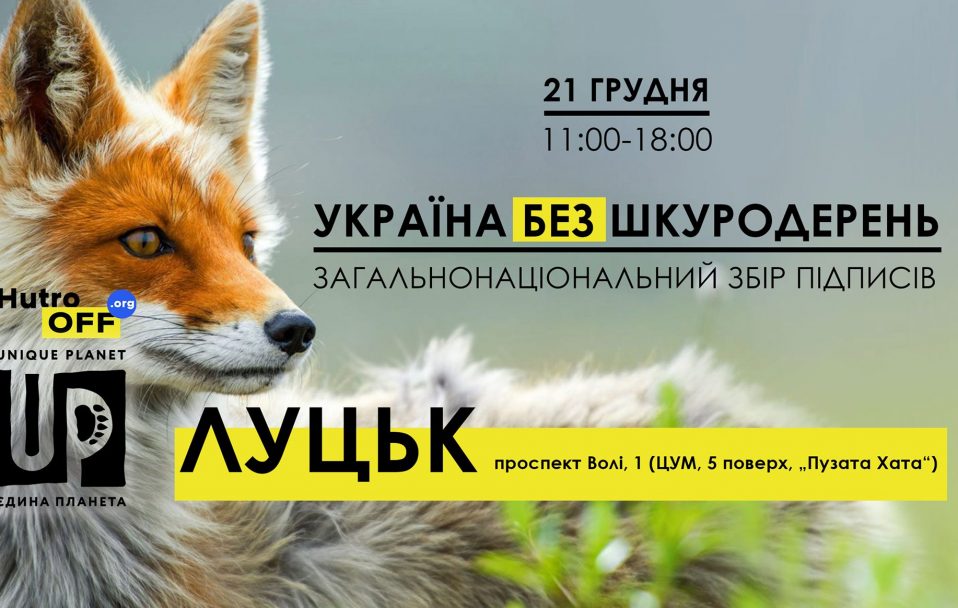У Луцьку відбудеться збір підписів за заборону шкуродерень в Україні