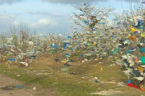 Тонни сміття на деревах: показали наслідки урагану на Миколаївщині. ВІДЕО