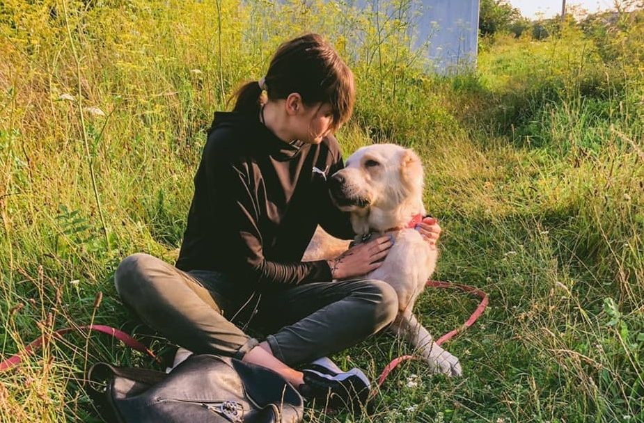 Набрала 15 кг і має паспорт: як змінилася собака Ума, яку врятували у Луцьку. ФОТО