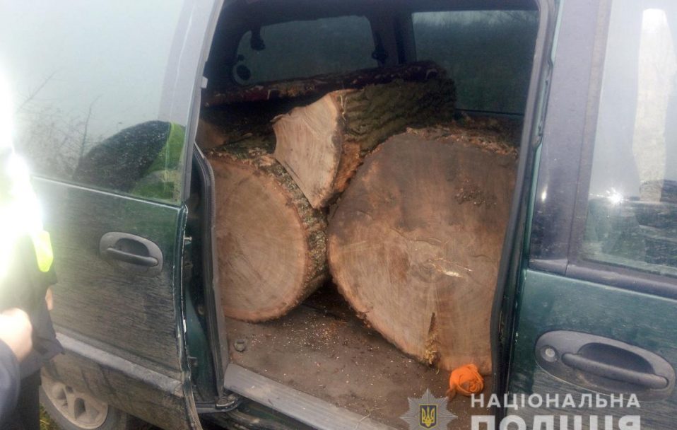 На Волині зловили злодіїв, які крали ліс: КамАЗ, Chrysler і деревину – вилучили