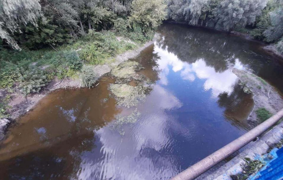 Очищення річки Стир: видалять 266 дерев, витратять майже 1 мільйон гривень