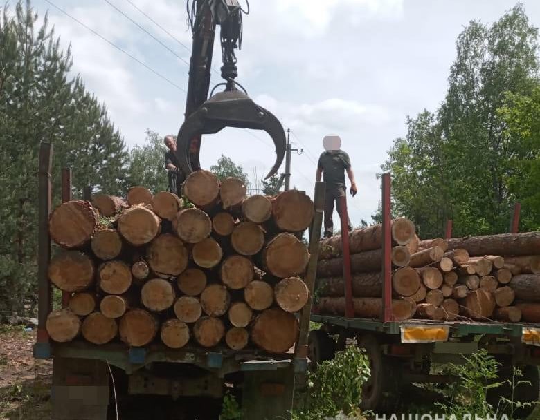 Поблизу села на Волині виявили 15 кубометрів деревини. Шукають, чия вона