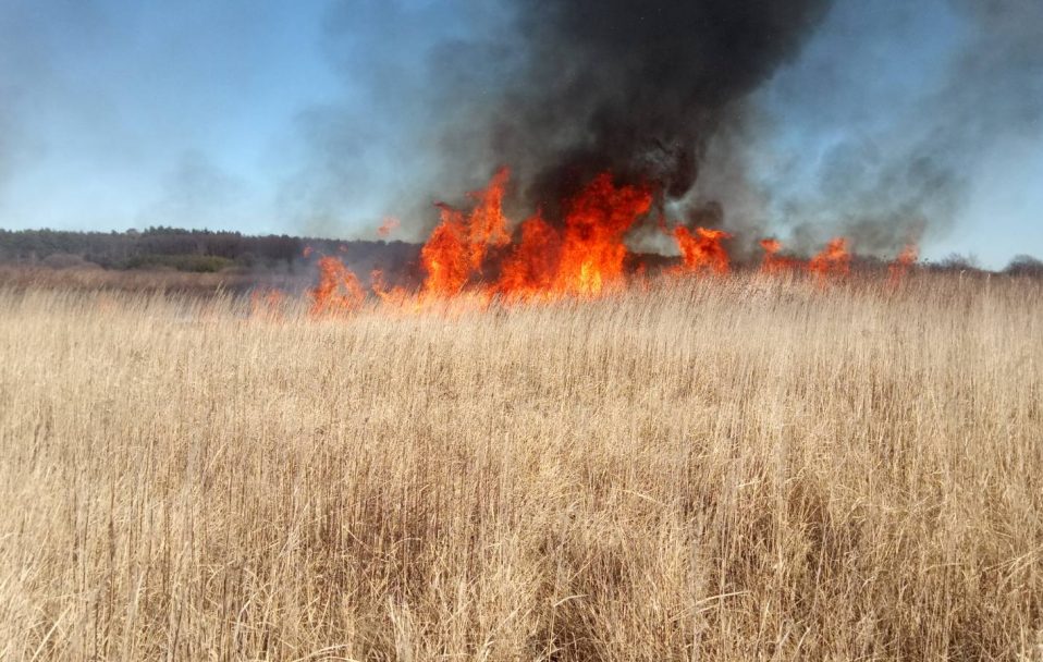Волинянку оштрафували на понад 3 тисячі гривень за те, що спалювала суху траву