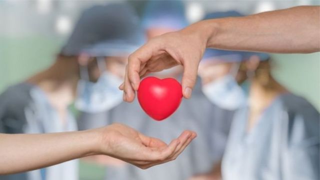 Чому у Волинській обласній лікарні не поспішають із трансплантаціями органів