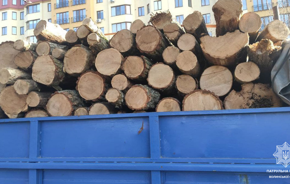 У Луцьку затримали вантажівку з незаконною деревиною