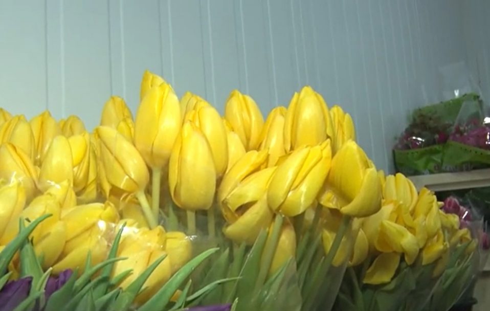 Допомогти ЗСУ: у Луцьку продають квіти за символічною ціною. ВІДЕО