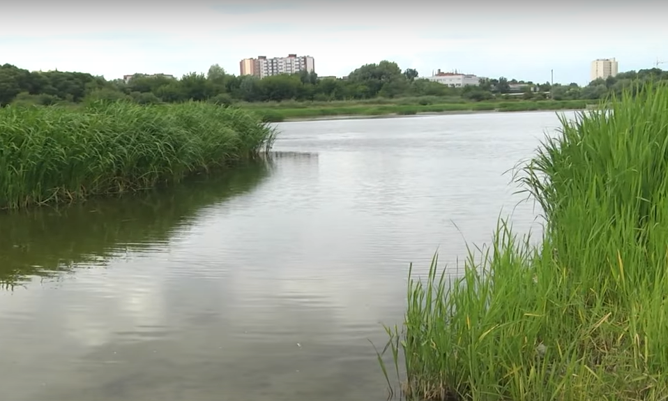 Річка Стир у Луцьку перетворюється на болото: люди б’ють на сполох. ВІДЕО
