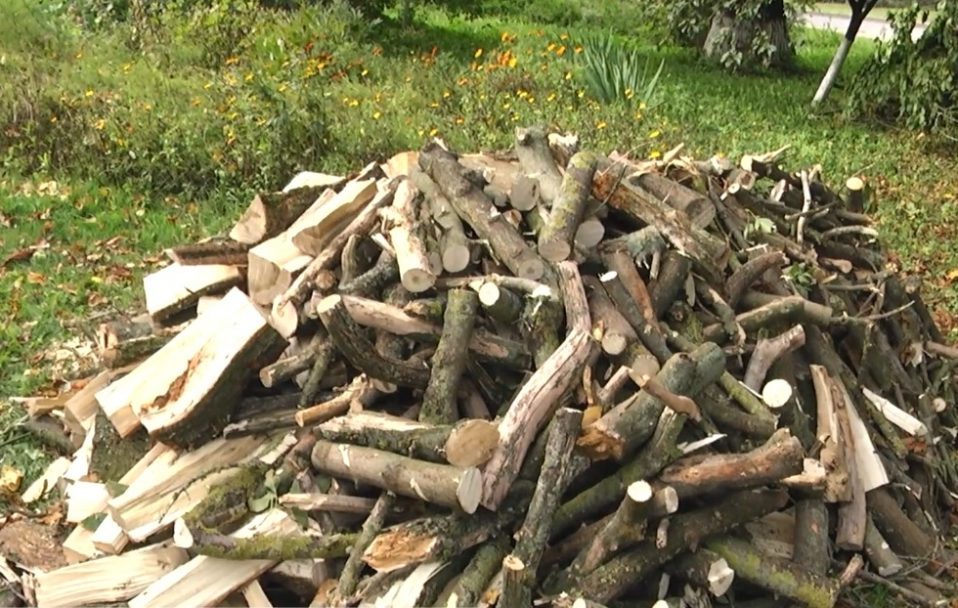 Збирають картоплю і купують дрова: волиняни у селах готуються до зими. Відео