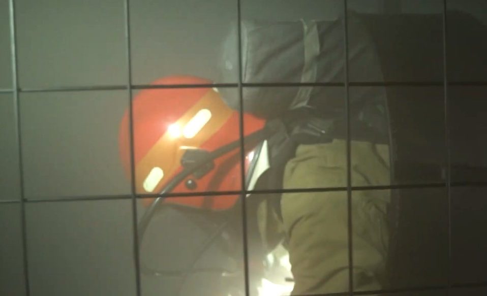 Як волинські пожежники вихід із задимленої клітки шукали. Відео