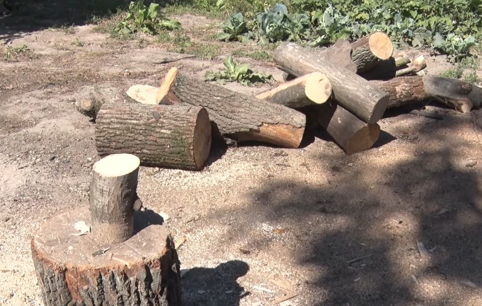 Волиняни на зиму запасаються дровами: де і почім їх можна купити. Відео