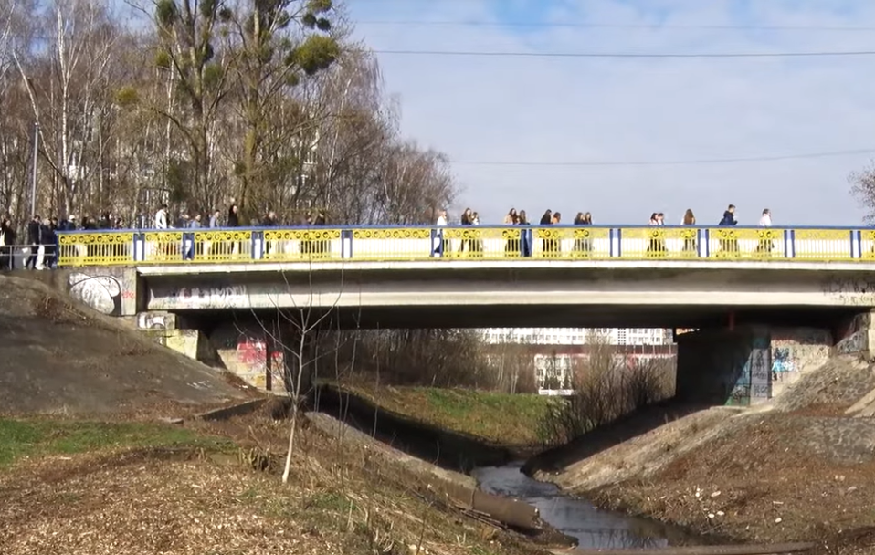 Несподівані СЮРПРИЗИ загидженої Сапалаївки: масова толока в Луцьку